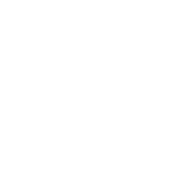 logo-sfr-white